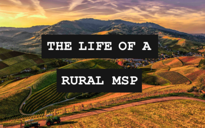 Pastures of Pareto: Inside The Life Of A Rural MSP